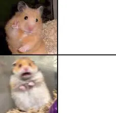 scared hamster 