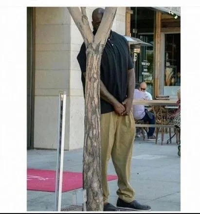 shaq behind tree 