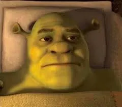 shrek disappointed 