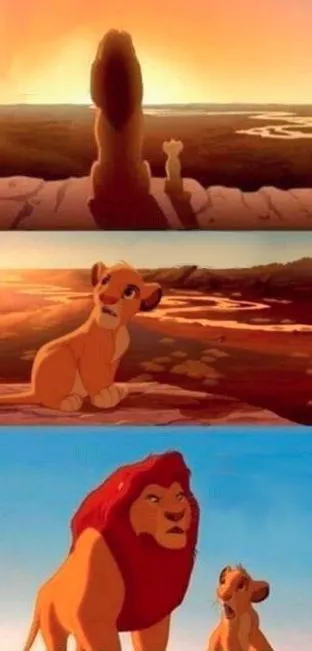 simba 