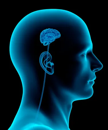 small brain 