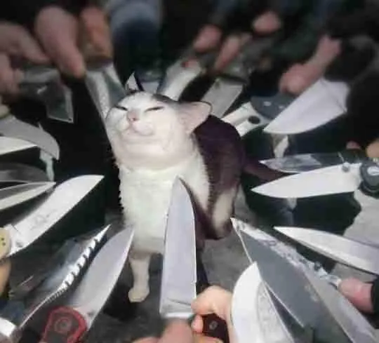 smug cat surrounded by knives 