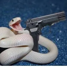 snake got gun 