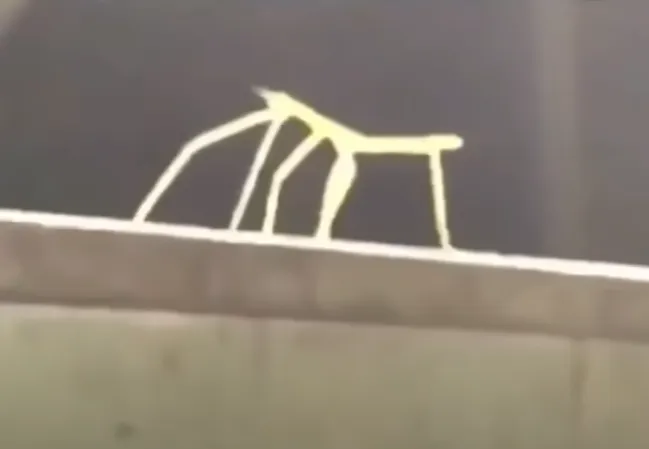 stick bugged but no text 