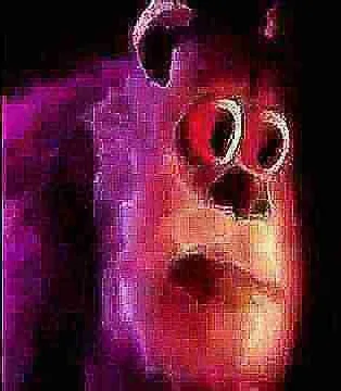 sullivian got shocked 