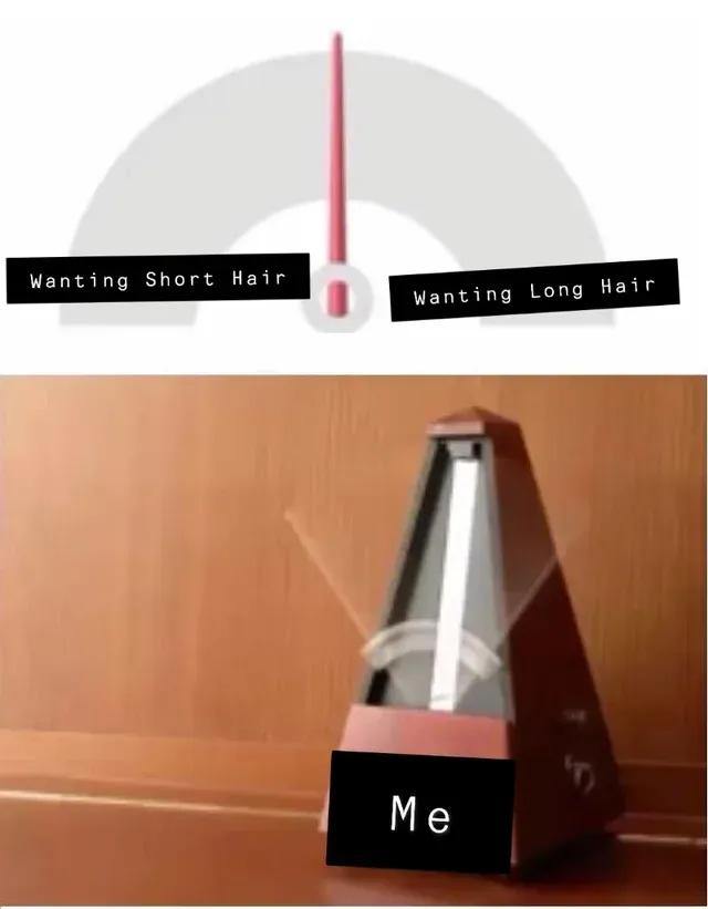 thing that goes back and forth on two choices 