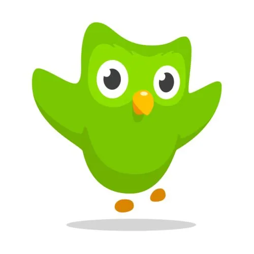 things duolingo teaches you 