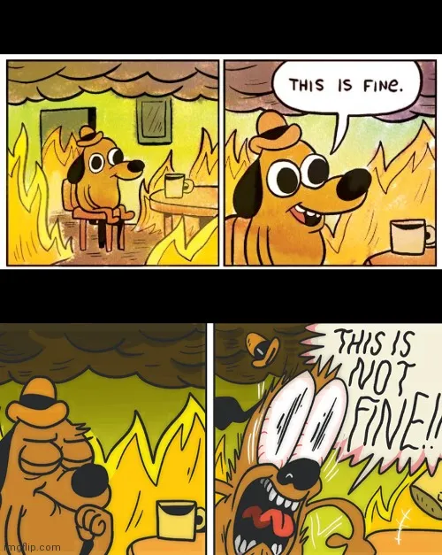 this is fine 