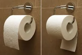 toilet paper rolls 