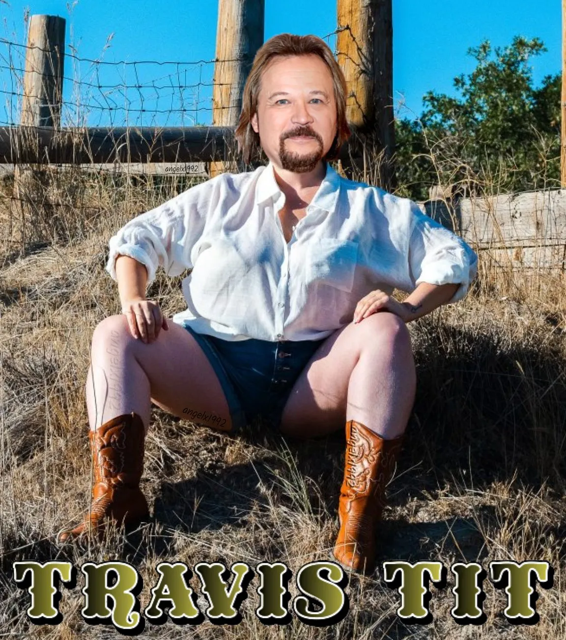 travis tritt 