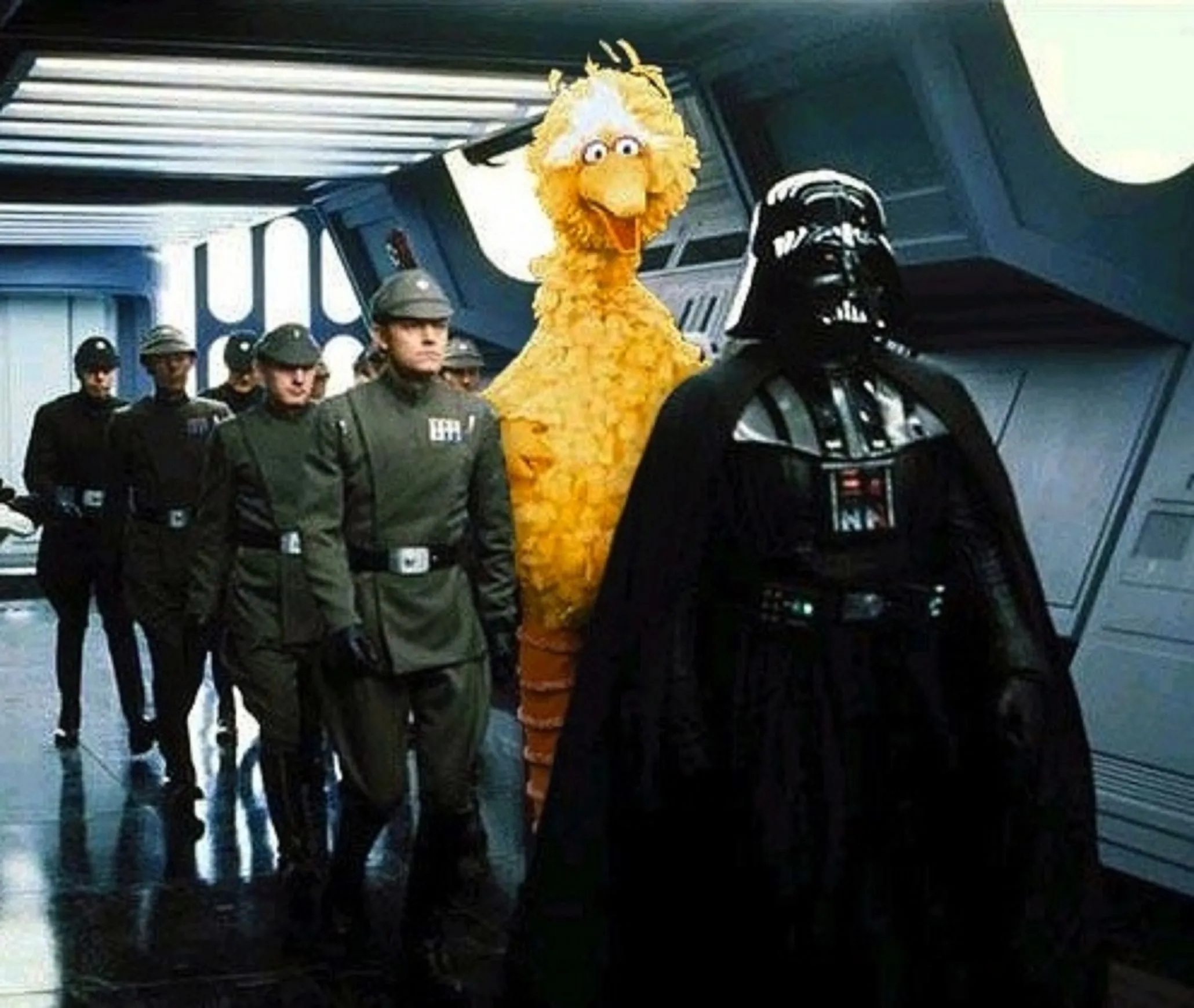 vader big bird 