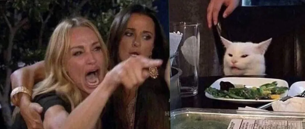 woman yelling at cat 