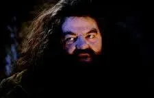 your a wizard harry 