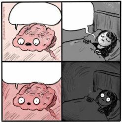 Brain Before Sleep